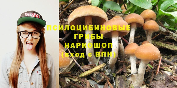 дмт Липки