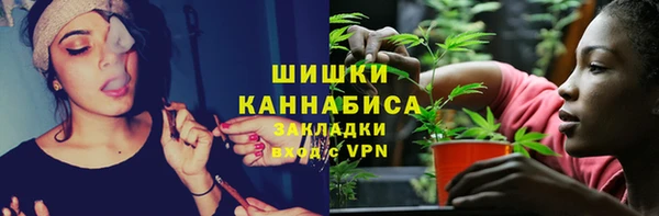 apvp Лиски