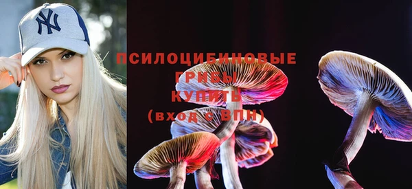 apvp Лиски