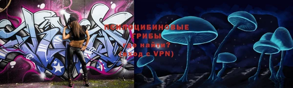 дмт Липки