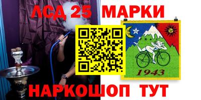 прущие крисы Камышлов