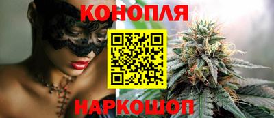прущие крисы Камышлов