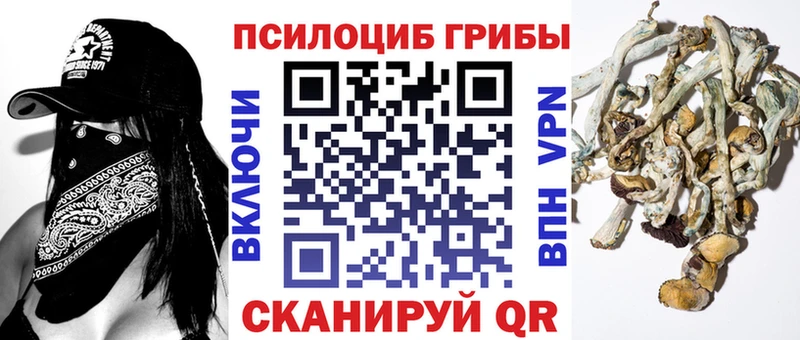 маркетплейс наркотические препараты  Самара  Псилоцибиновые грибы мицелий 