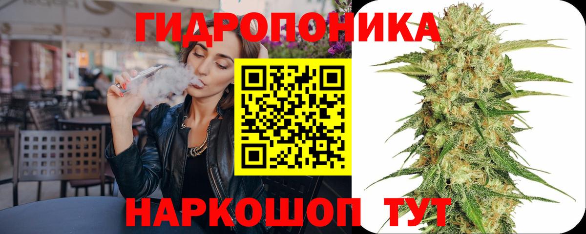 Самара  Бошки марихуана план  Вход с VPN  Марихуана White Widow  Бошки Шишки сатива 